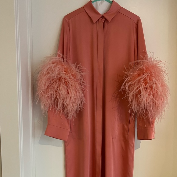 Lapointe Feather-trimmed Satin Midi Shirt Dress - Picture 8 of 12